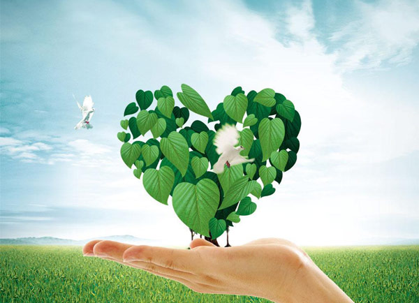 污泥環(huán)保烘干機 污泥環(huán)保烘干機